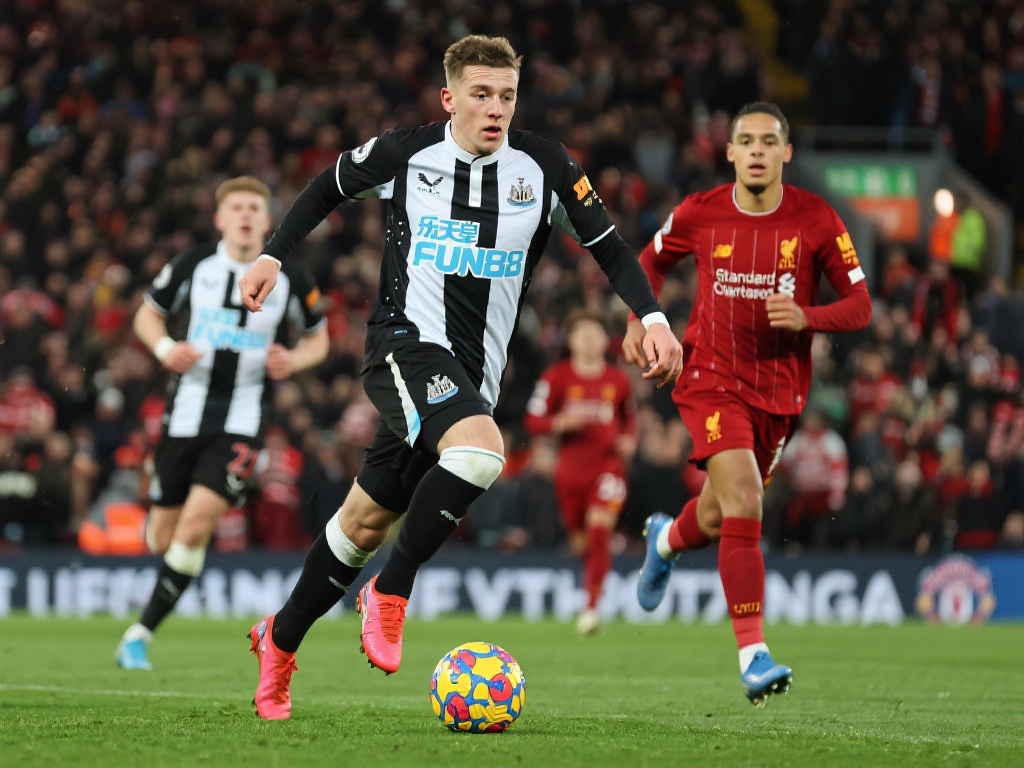 台已经成为 台已经成为